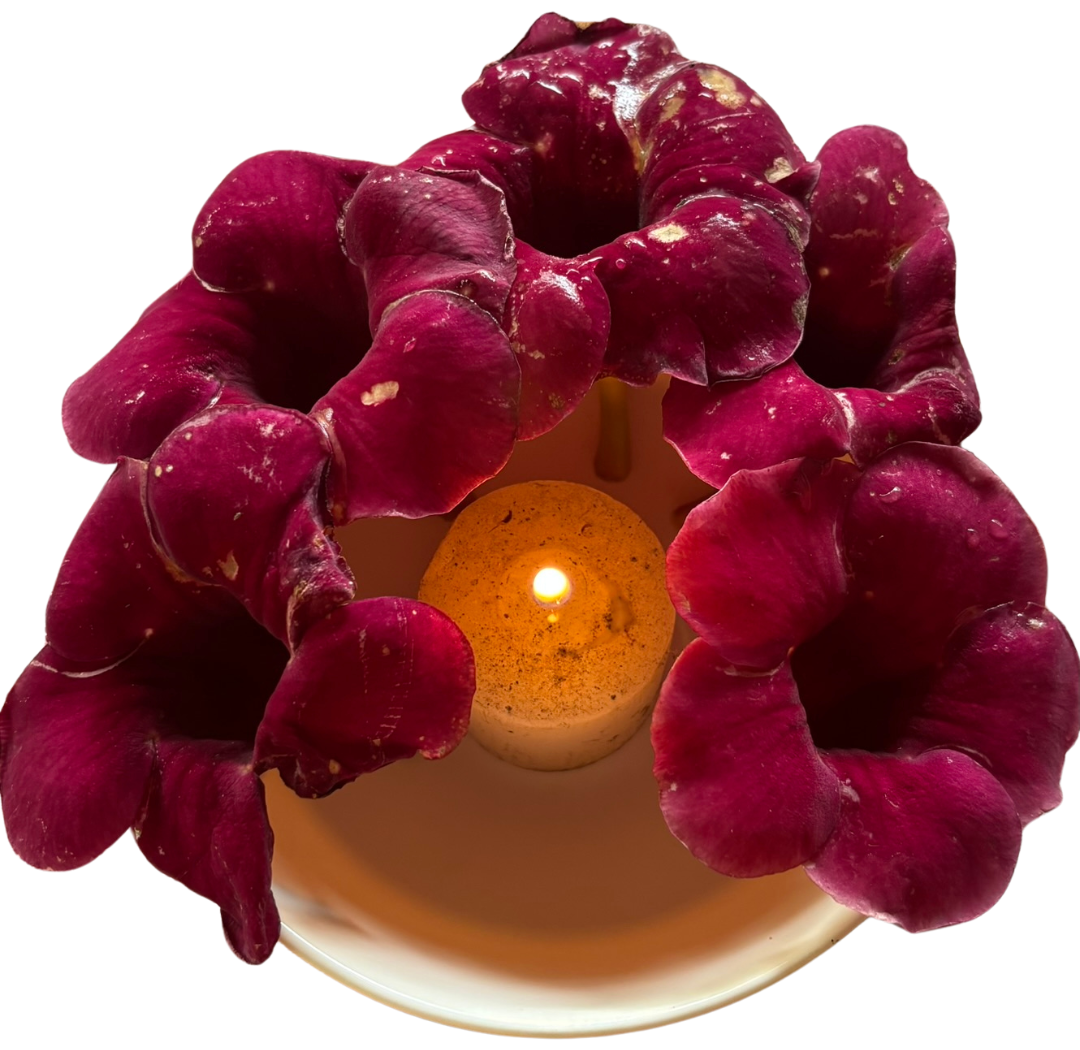 Flores e vela em ritual de acolhimento