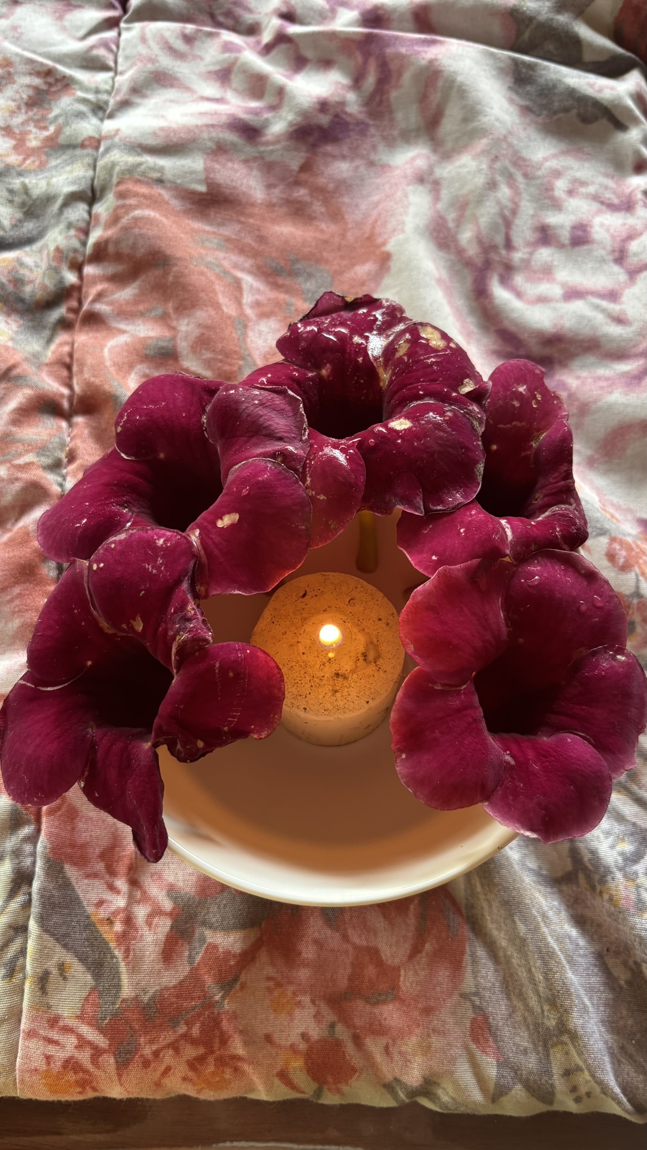 Flores e vela em ritual de acolhimento